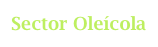 Sector Oleícola