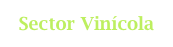Sector Vinícola